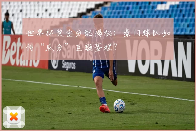 世界杯奖金分配揭秘：豪门球队如何“瓜分”巨额蛋糕？