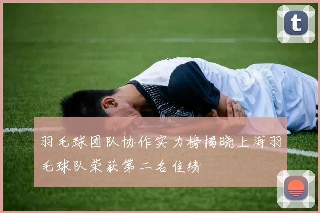 羽毛球团队协作实力榜揭晓上海羽毛球队荣获第二名佳绩