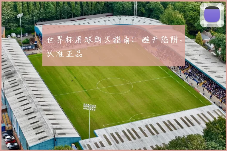 世界杯用球购买指南:避开陷阱,认准正品