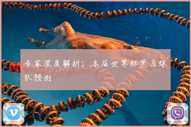 专家深度解析:本届世界杯黑马球队预测