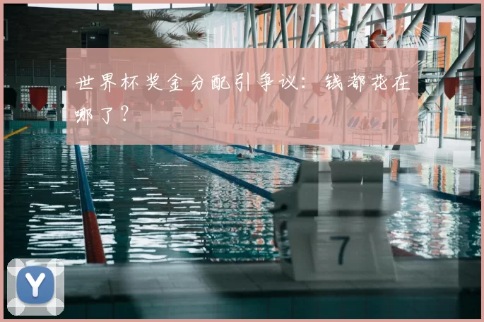 世界杯奖金分配引争议：钱都花在哪了？