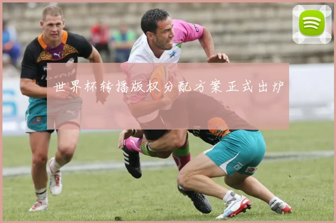 世界杯转播版权分配方案正式出炉
