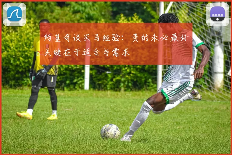 约基奇谈买马经验：贵的未必最好关键在于适合与需求