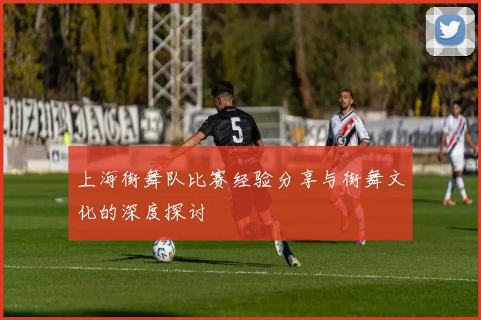 上海街舞队比赛经验分享与街舞文化的深度探讨