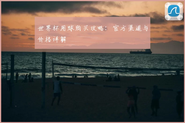 世界杯用球购买攻略：官方渠道与价格详解