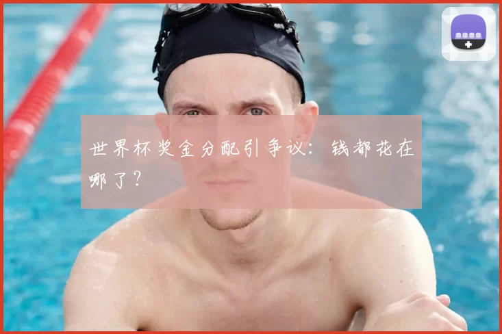 世界杯奖金分配引争议：钱都花在哪了？