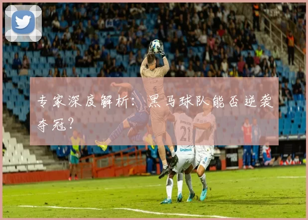 专家深度解析:黑马球队能否逆袭夺冠?