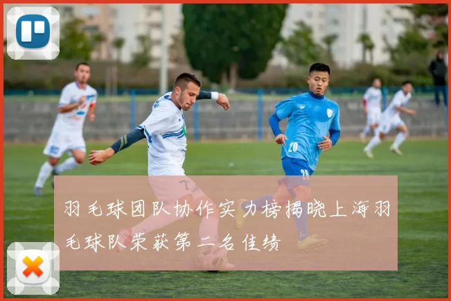 羽毛球团队协作实力榜揭晓上海羽毛球队荣获第二名佳绩