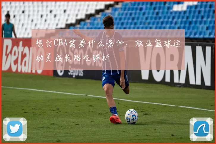 想打CBA需要什么条件，职业篮球运动员成长路径解析
