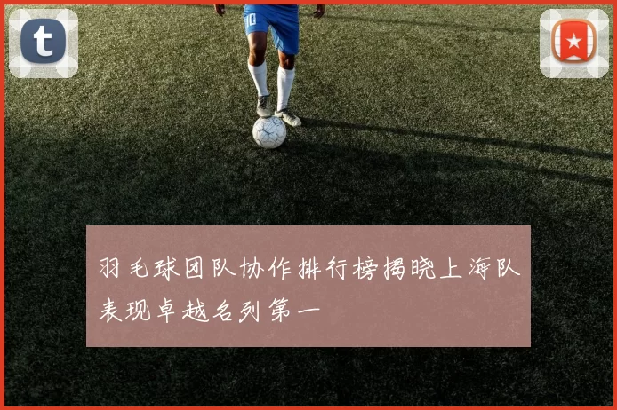 羽毛球团队协作排行榜揭晓上海队表现卓越名列第一