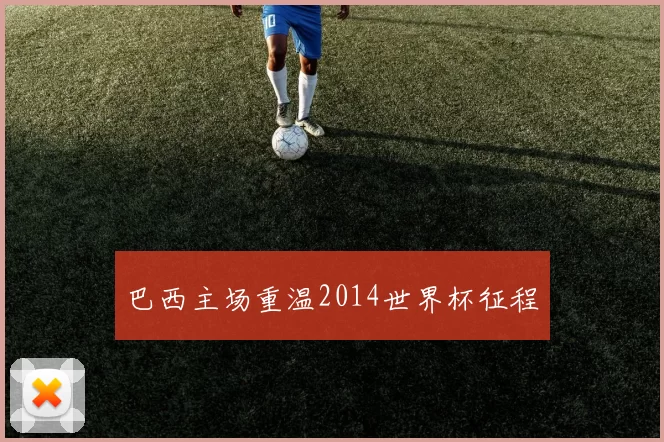 巴西主场重温2014世界杯征程